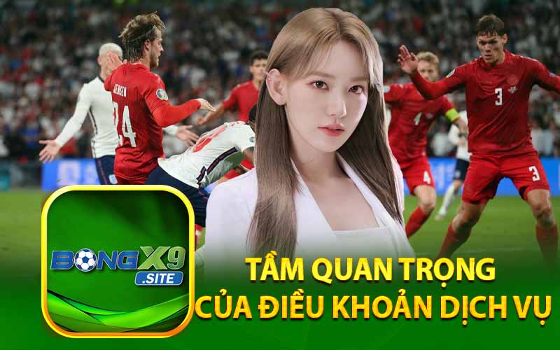 Tầm Quan Trọng Của Điều Khoản Dịch Vụ